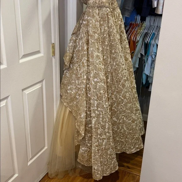 slim fit dress slacks Tulle Ball Gown Prom Dresses With Gold Appliques MP759 main image 1